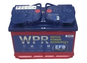 photo_5247085340374719344_y-removebg-preview-900x650h